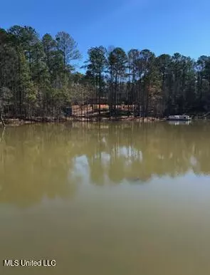 18 Eagle Dr, Carriere, MS 39426 photo 47