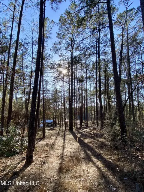 18 Eagle Dr, Carriere, MS 39426 photo 36