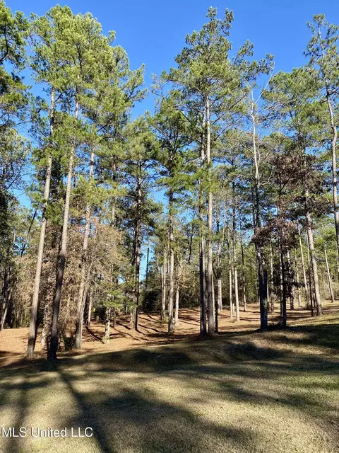18 Eagle Dr, Carriere, MS 39426 photo 41