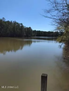 18 Eagle Dr, Carriere, MS 39426 photo 46