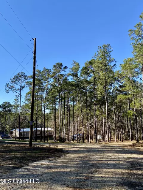 18 Eagle Dr, Carriere, MS 39426 photo 35