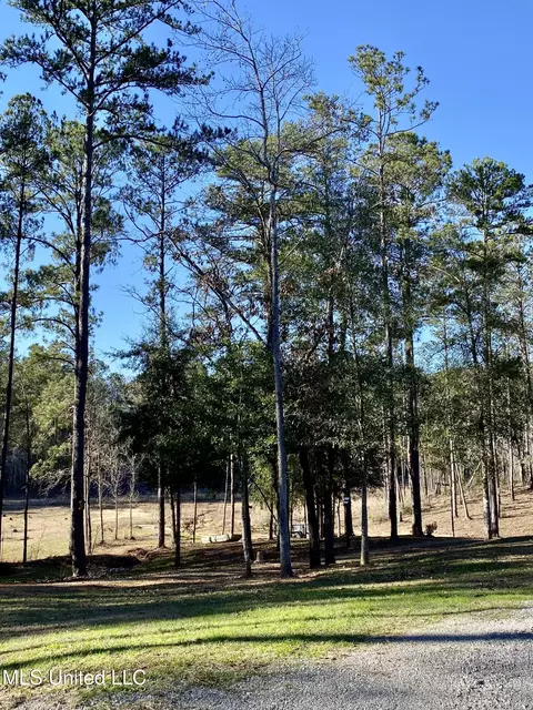 18 Eagle Dr, Carriere, MS 39426 photo 42