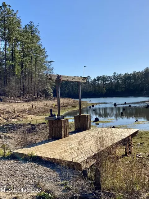 18 Eagle Dr, Carriere, MS 39426 photo 33