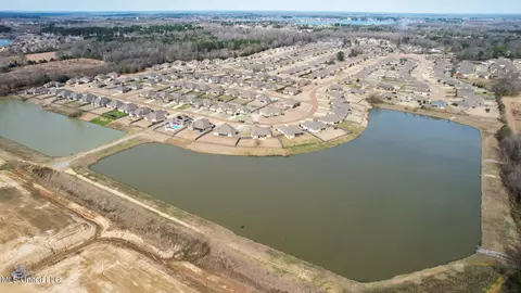 View/Area - 313 N Falls Xing, Madison, MS 39110 photo 4 of 6