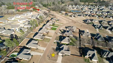 View/Area - 313 N Falls Xing, Madison, MS 39110 photo 6 of 6
