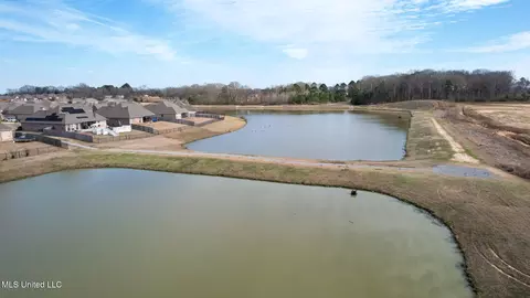 View/Area - 313 N Falls Xing, Madison, MS 39110 photo 3 of 6