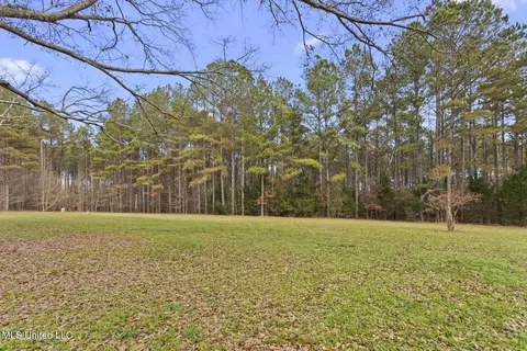 Exterior - 236 Childress Ln, Flora, MS 39071 photo 6 of 10