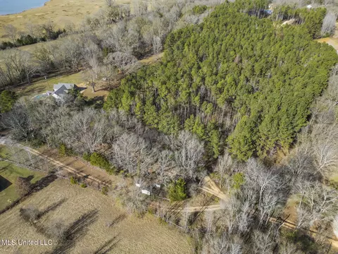 View/Area - 236 Childress Ln, Flora, MS 39071 photo 2 of 2