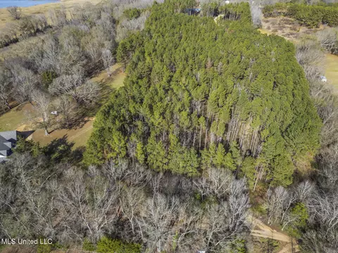 Other - 236 Childress Ln, Flora, MS 39071 photo 3 of 18