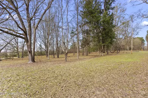 Other - 236 Childress Ln, Flora, MS 39071 photo 5 of 18