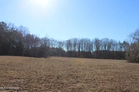 20259 Highway 72, Walnut, MS 38683 photo 42