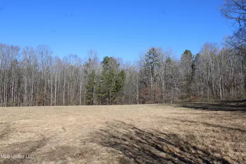 20259 Highway 72, Walnut, MS 38683 photo 25