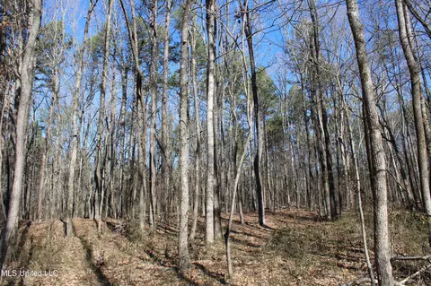 20259 Highway 72, Walnut, MS 38683 photo 44