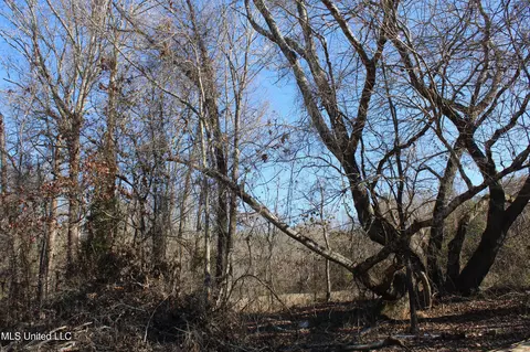 20259 Highway 72, Walnut, MS 38683 photo 39