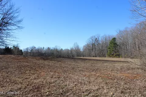 20259 Highway 72, Walnut, MS 38683 photo 47
