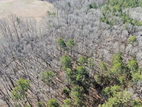 20259 Highway 72, Walnut, MS 38683 photo 15
