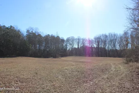 20259 Highway 72, Walnut, MS 38683 photo 37