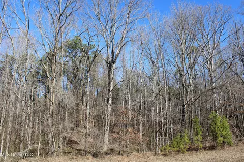 20259 Highway 72, Walnut, MS 38683 photo 41