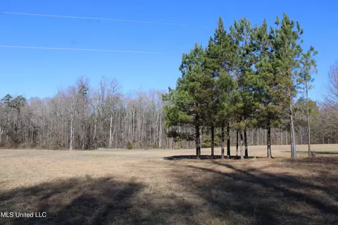 20259 Highway 72, Walnut, MS 38683 photo 20