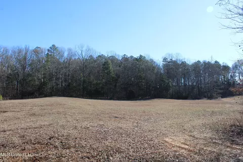 20259 Highway 72, Walnut, MS 38683 photo 36