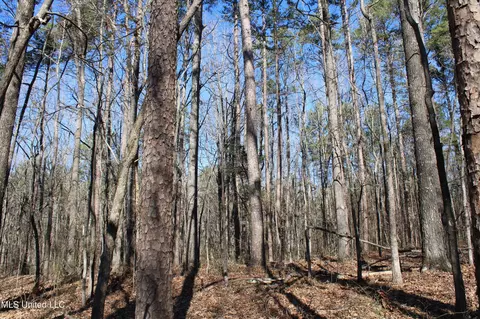 20259 Highway 72, Walnut, MS 38683 photo 45