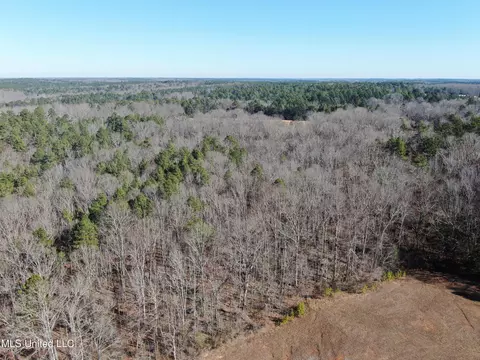 20259 Highway 72, Walnut, MS 38683 photo 11