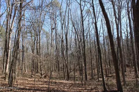 20259 Highway 72, Walnut, MS 38683 photo 46
