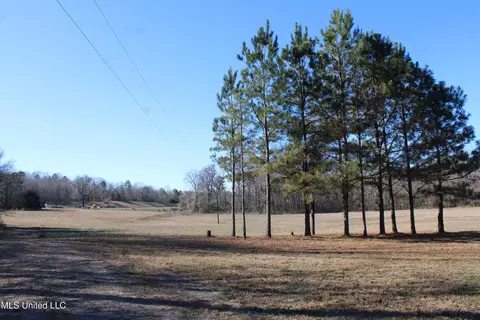 20259 Highway 72, Walnut, MS 38683 photo 21