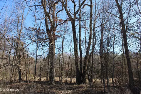 20259 Highway 72, Walnut, MS 38683 photo 40