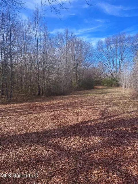 Ratliff Road, Flora, MS 39071 photo 12