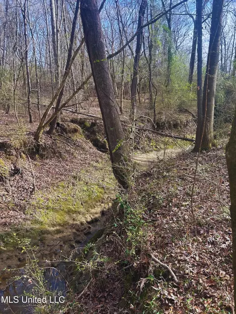 Ratliff Road, Flora, MS 39071 photo 15