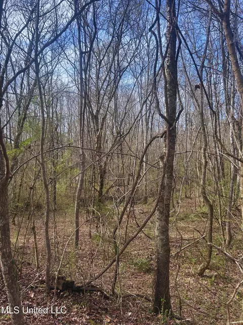 Ratliff Road, Flora, MS 39071 photo 10