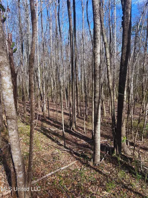 Ratliff Road, Flora, MS 39071 photo 9