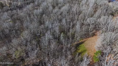 Ratliff Road, Flora, MS 39071 photo 5