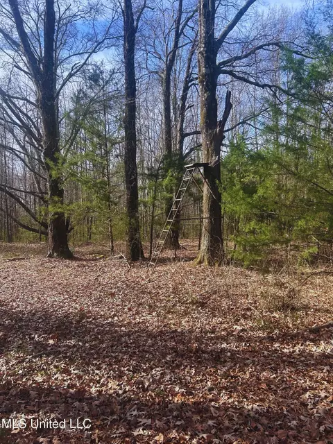 Ratliff Road, Flora, MS 39071 photo 13