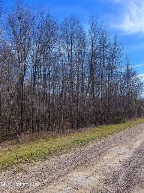 Ratliff Road, Flora, MS 39071 photo 8