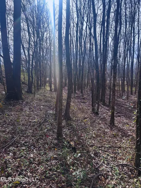 Ratliff Road, Flora, MS 39071 photo 16