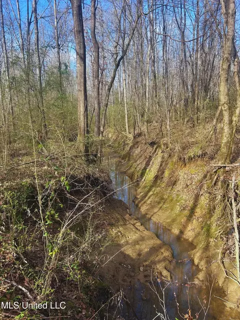 Ratliff Road, Flora, MS 39071 photo 14