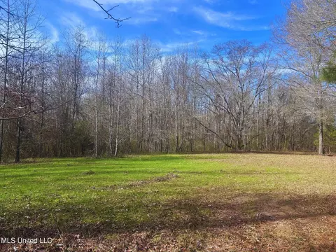 Ratliff Road, Flora, MS 39071 photo 7