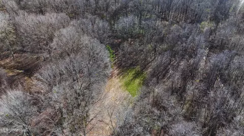 Ratliff Road, Flora, MS 39071 photo 6