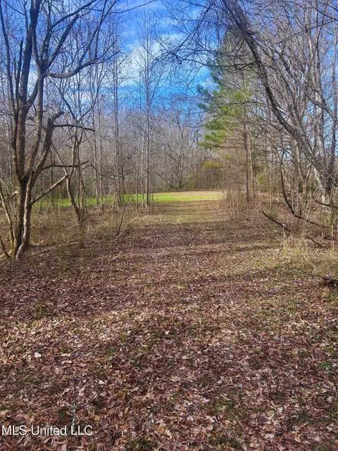 Ratliff Road, Flora, MS 39071 photo 11