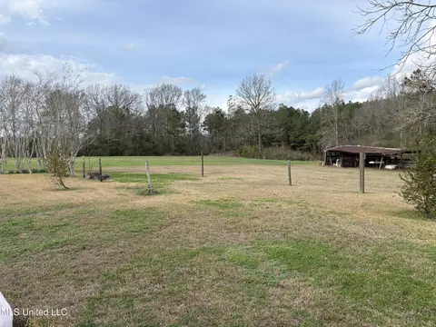 Exterior - 299 SE Bismark Rd, Jayess, MS 39641 photo 6 of 7