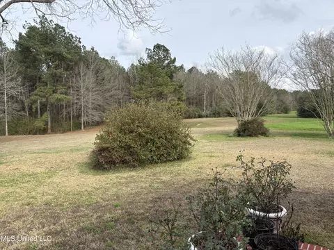 Exterior - 299 SE Bismark Rd, Jayess, MS 39641 photo 5 of 7