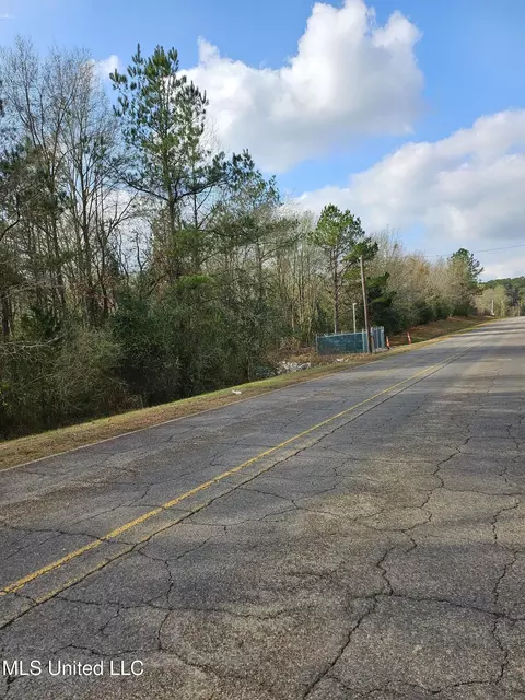 000 Quinlivan Rd, Mccomb, MS 39648 photo 2