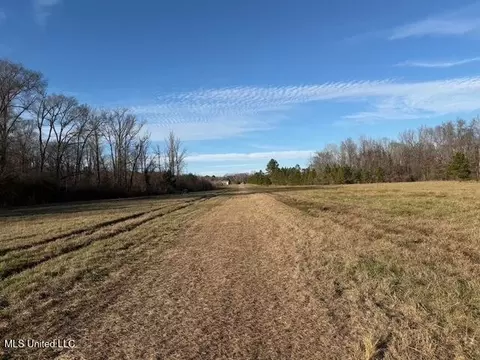 Raymond Road, Jackson, MS 39212 photo 48