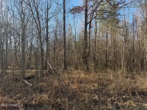 Raymond Road, Jackson, MS 39212 photo 23