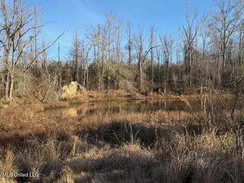 Raymond Road, Jackson, MS 39212 photo 58
