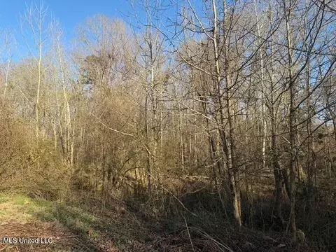 Raymond Road, Jackson, MS 39212 photo 39