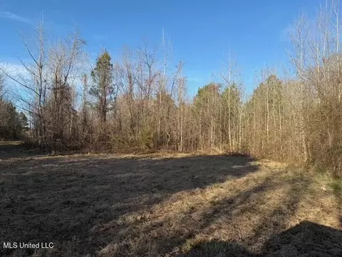 Raymond Road, Jackson, MS 39212 photo 41
