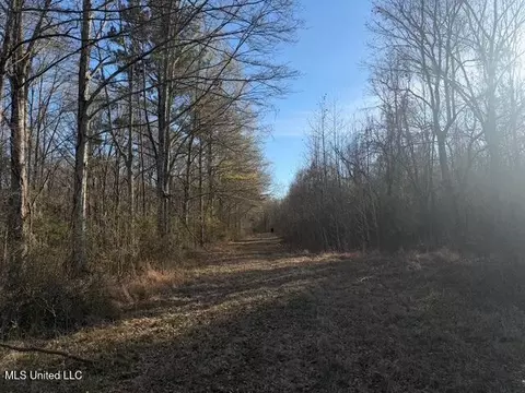 Raymond Road, Jackson, MS 39212 photo 19